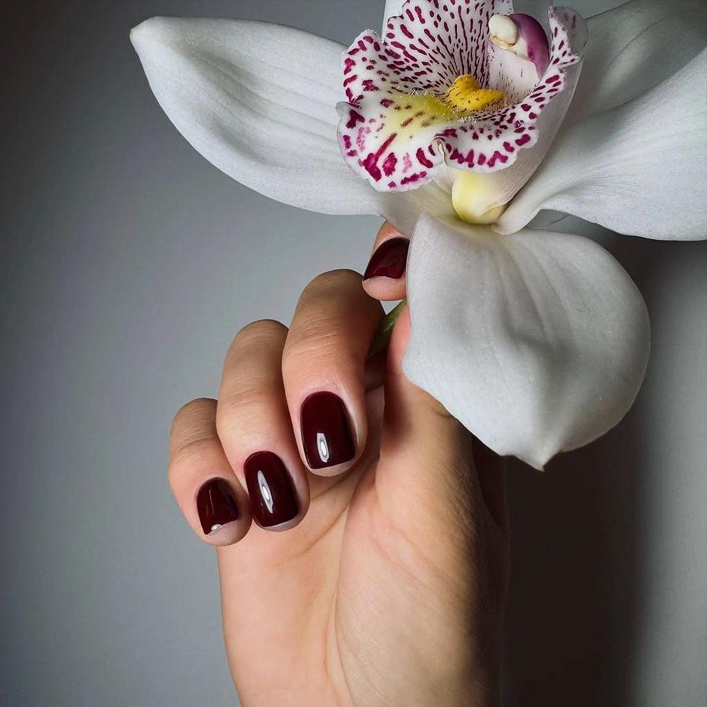 Short glossy burgundy nails against a bright pale background | Gorgeous Fall Burgundy Nail Designs: 21 Wine-Toned Ideas to Try