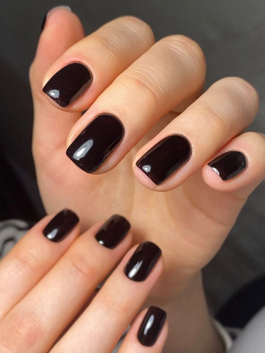 Short glossy chocolate brown square nails with strong shine